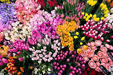 《命运2：邪姬魅影》- 宿怨赛季预告片